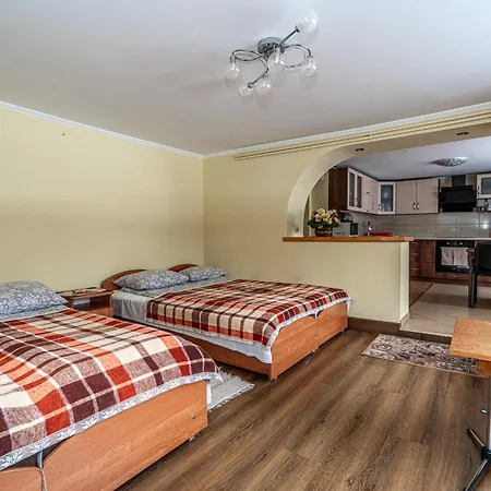 Dom Na Borku Jozefa Schulz Alloggio per agriturismo *